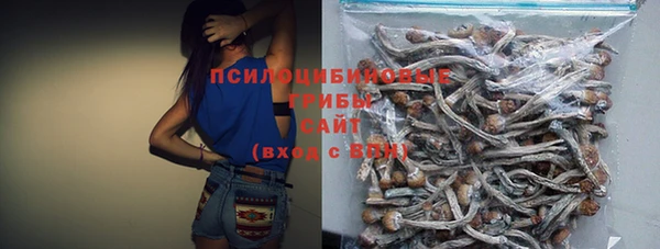 прущая мука Арсеньев