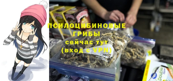 прущие крисы Алзамай