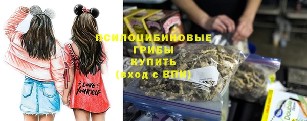 прущая мука Арсеньев
