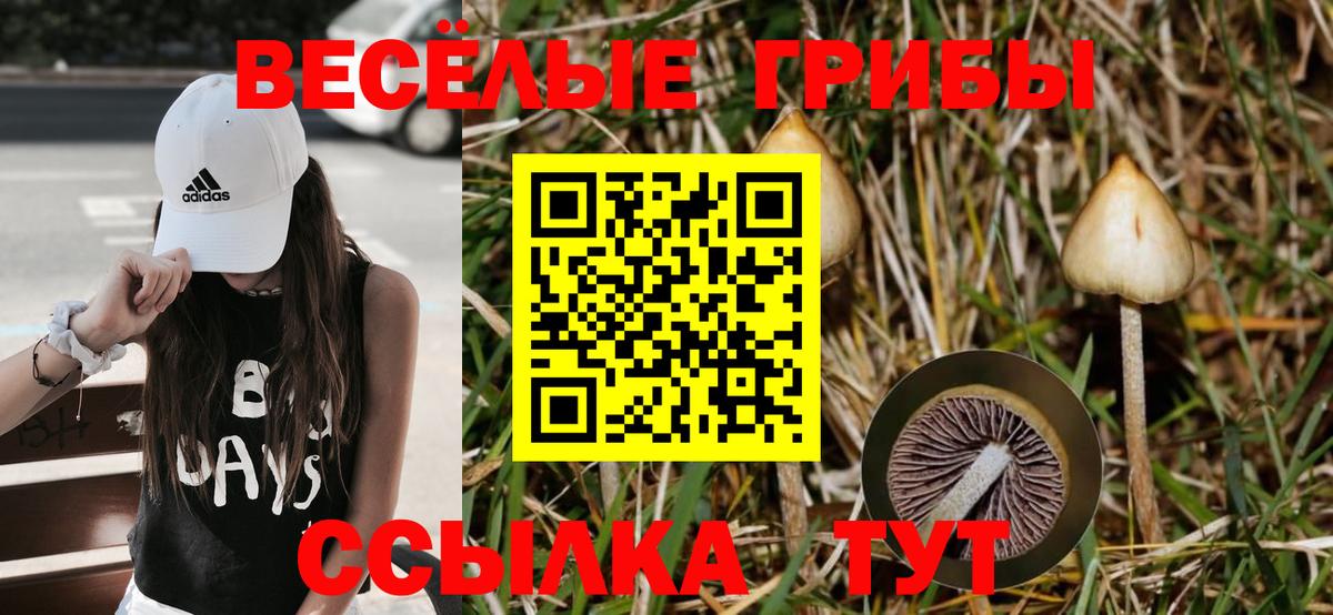 MDMA  Саянск  Вход с VPN  Канабис  ГАШ  Альфа ПВП СК кристаллы  МЕФ   МЕТАМФЕТАМИН  ГАШИШ  Конопля 