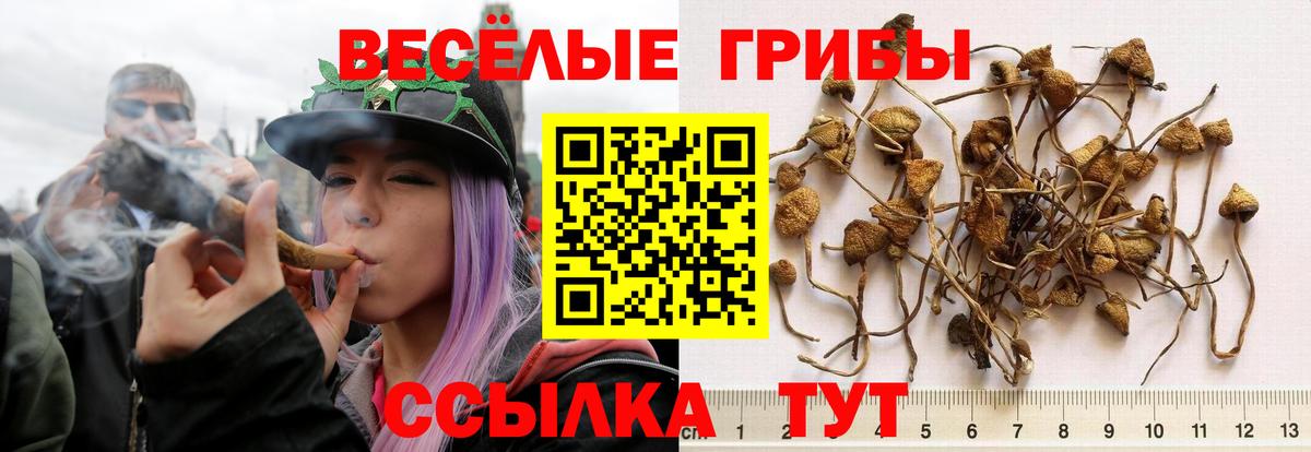 Галлюциногенные грибы мицелий Саянск