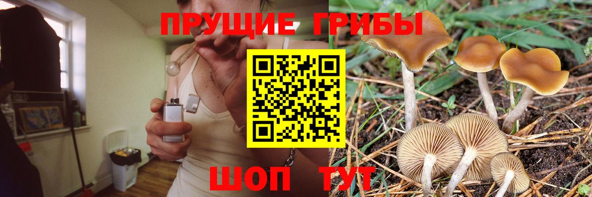 Саянск  Псилоцибиновые грибы ЛСД  магазин продажи   Вход с VPN  Псилоцибиновые грибы мухоморы 