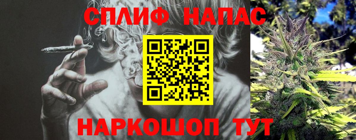 МАРИХУАНА план Саянск